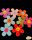 Gomb Pötyi 3316 színes virágok