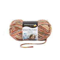 Schachenmayr Bravo Big 